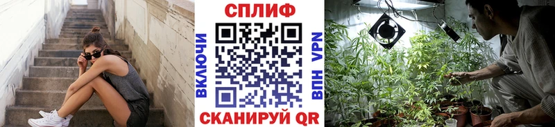 где купить наркоту  Петров Вал  МАРИХУАНА марихуана 